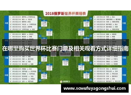 在哪里购买世界杯比赛门票及相关观看方式详细指南